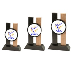 trofeo voleibol