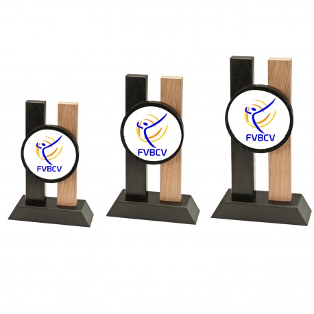 trofeo voleibol