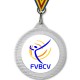 Medalla Oficial Torneo Pista FVBCV 70mm Plata