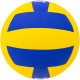 Balón Voleibol Zastor Apex Yellow/Blue T-5