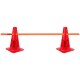 Cono 30 cm Para Picas