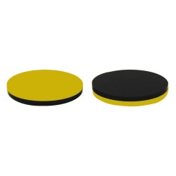 Moneda sorteo de campo